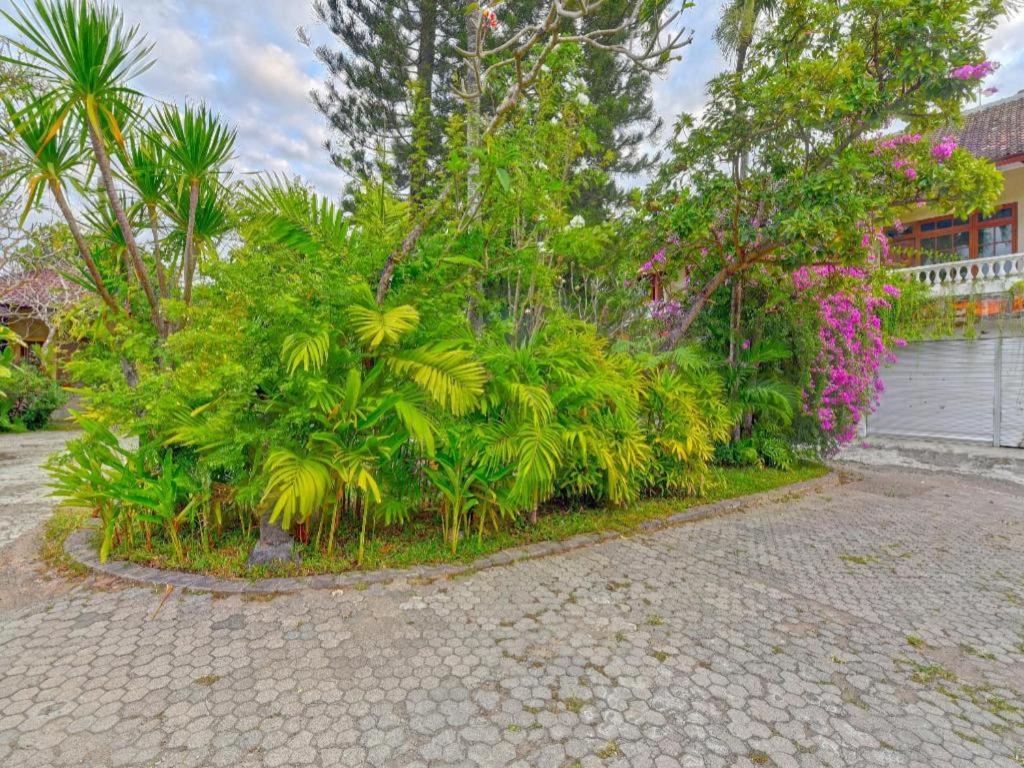 Oyo 91503 Hotel Gedong Ayu Near Sanur Ουμπούντ Εξωτερικό φωτογραφία